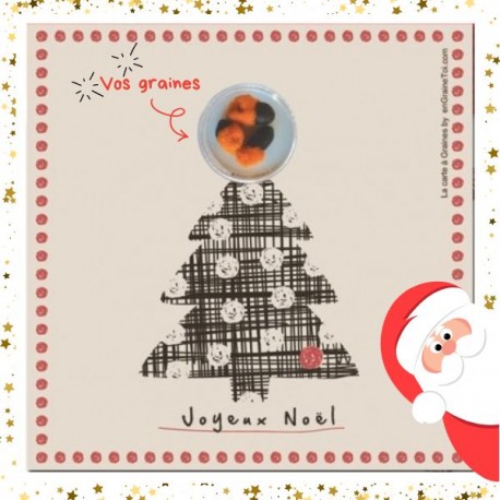 Sapin de Noel - Carte à graines