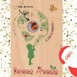 "Bonne Année" sur bois - Carte à graines (recto)