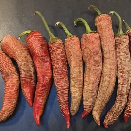 Piment Elephant BIO (piment peu fort)