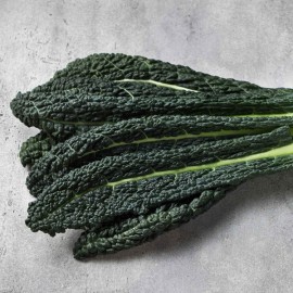 Chou Kale Noir de Toscane