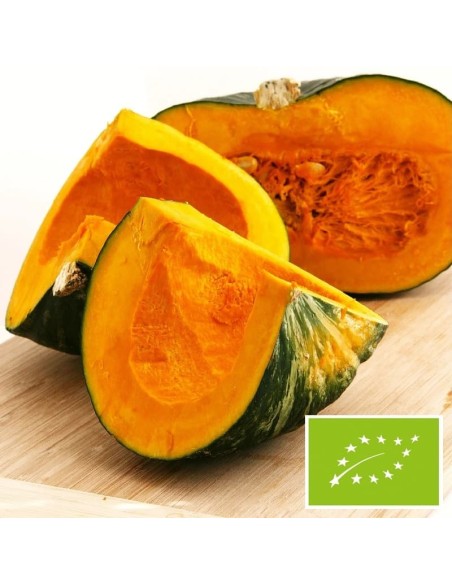 Courge Vert d'Okkaido BIO (Potimarron)