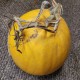 Courge Melonnette jaspée de Vendée