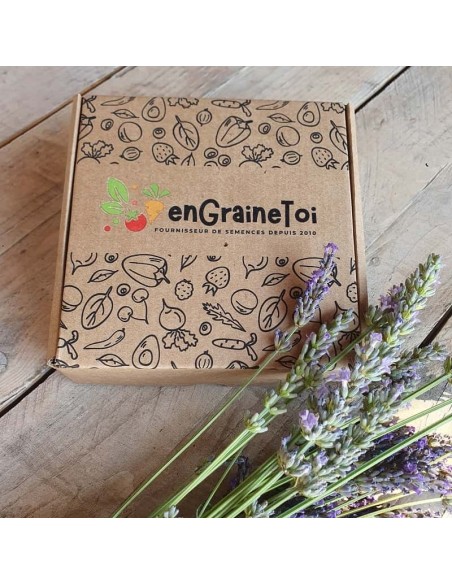 Coffret Terre & Graines  - Diffuseur en céramique