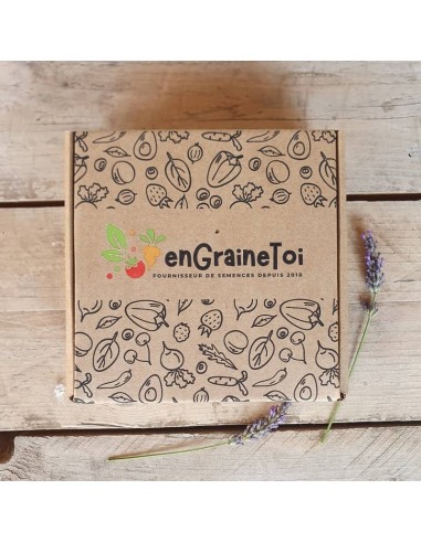 Coffret Terre & Graines  - Diffuseur en céramique