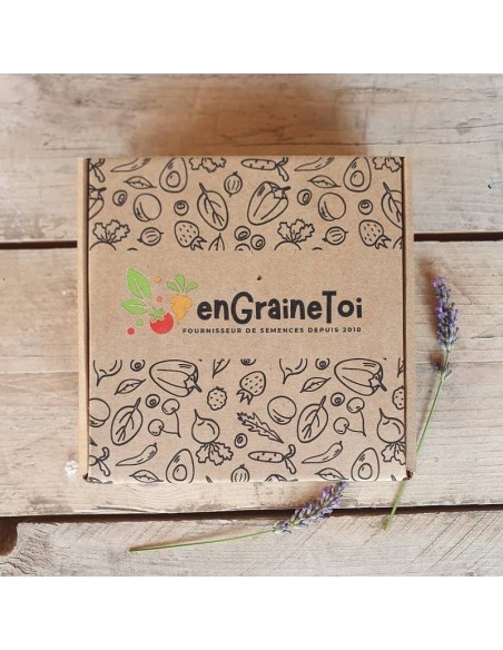 Coffret Terre & Graines  - Diffuseur en céramique