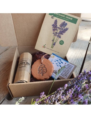 Coffret Terre & Graines  - Diffuseur en céramique