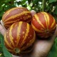 Melon Rich Sweetness