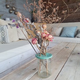 Coffret Terre & Graines - Je bouture mes plantes