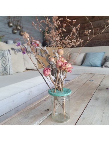 Coffret Terre & Graines  - Je bouture mes plantes
