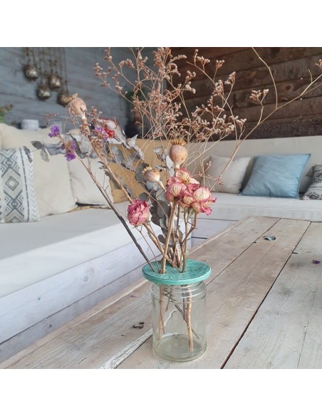 Coffret Terre & Graines  - Je bouture mes plantes