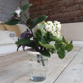 Coffret Terre & Graines - Je bouture mes plantes