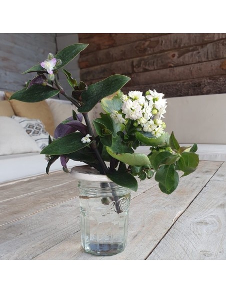 Coffret Terre & Graines  - Je bouture mes plantes