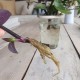Coffret Terre & Graines - Je bouture mes plantes