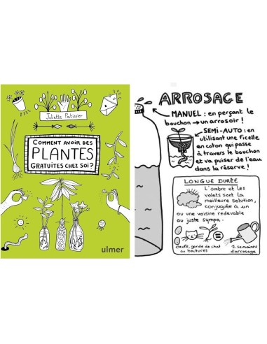 Coffret Terre & Graines  - Je bouture mes plantes