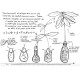 Coffret Terre & Graines - Je bouture mes plantes