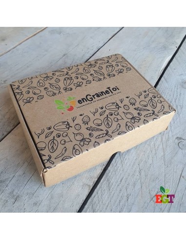 Coffret Terre & Graines  - Je bouture mes plantes