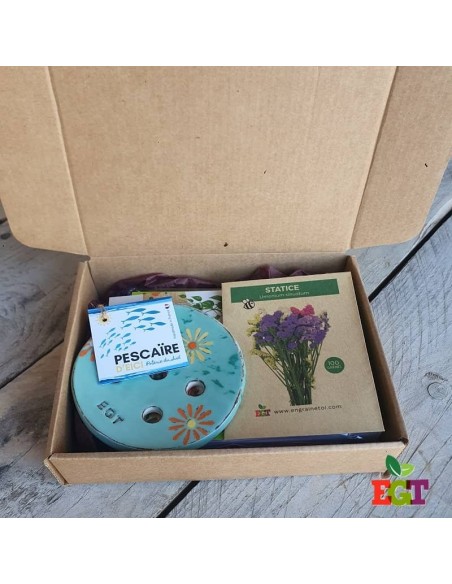 Coffret Terre & Graines  - Je bouture mes plantes