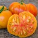 Tomate Hawaiian pineapple BIO