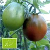 Tomate Bedouin BIO