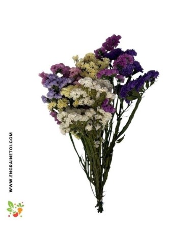 Bouquet séché de fleurs de statice variés
