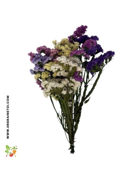 Bouquet séché de fleurs de statice variés