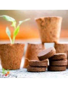 Kit de démarrage Jiffypots R6 - 14 Pots et Pastilles de Tourbe 2