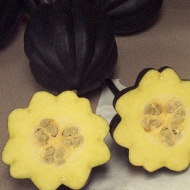 Graines Courge 'Table Queen Acorn'