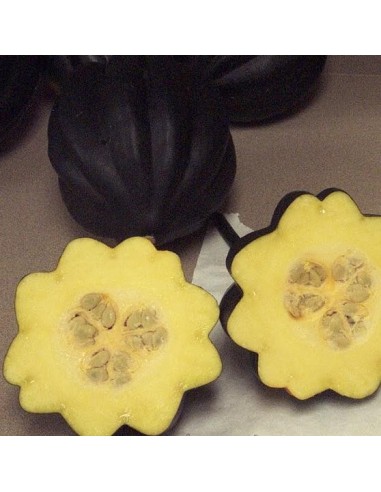 Graines Courge 'Table Queen Acorn'