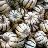 Graines Courge 'Sweet Dumpling' (Patidou)