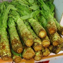 Graines Laitue asperge