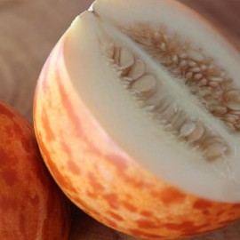 Graines Melon tigre (Melon d'Arménie)