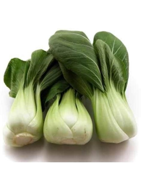 Graines Pak Choi/ Bok Choy (Choux de chine)