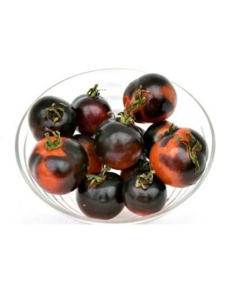 Graines Tomate cocktail violette 'Indigo rose'