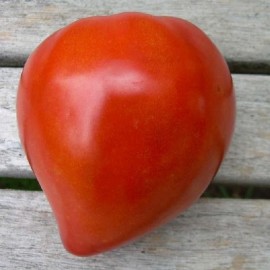 Graines Tomate ancienne 'Coeur de boeuf'