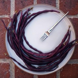 Graines Haricot dolique (Haricot Kilomètre)