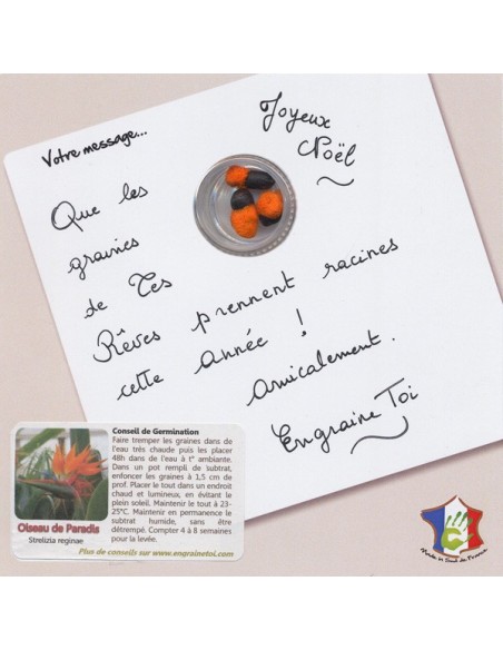 La carte à Graines - Sapin de Noel