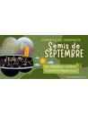 SEPTEMBRE