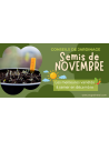 NOVEMBRE