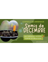 DECEMBRE