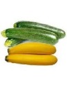 Courgette