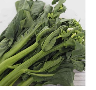 brocoli chinois Kailaan