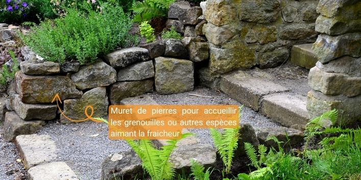 permaculture , muret en pierres