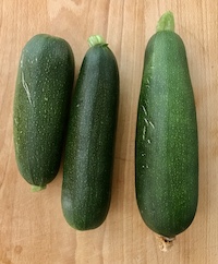 Courgettes "Verte de Milan"