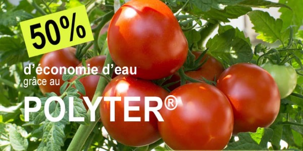 Comment utiliser le POLYTER® dans votre jardin ?