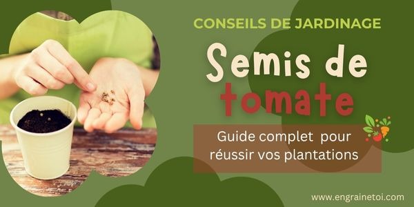 Semis de Tomate : Guide complet pour réussir vos plantations