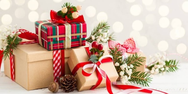 Idées cadeaux à offrir à un jardinier pour Noël 2021