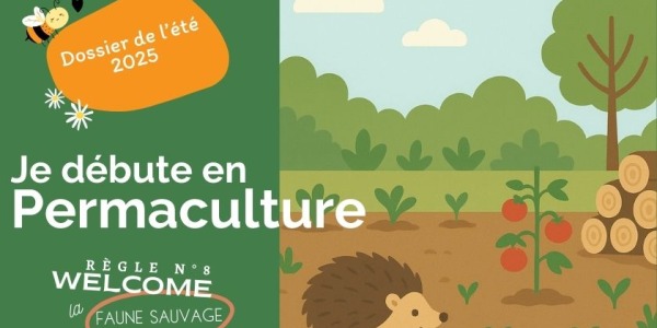 Les bons habitats pour la faune sauvage