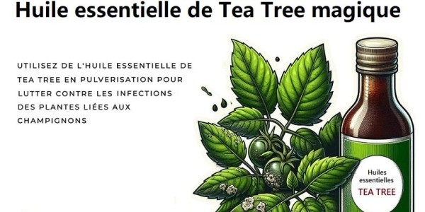 Huiles essentielles de Tea Tree comme répulsif