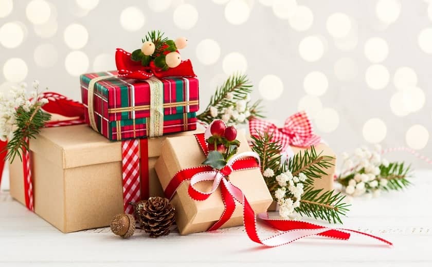 Idées cadeaux à offrir à un jardinier pour Noël 2021