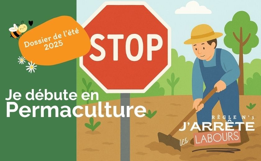 Pourquoi faut-il cesser de labourer en permaculture ?